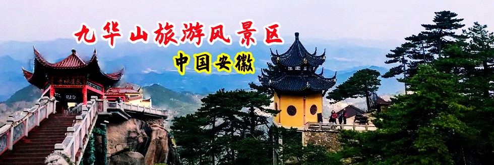 男人大鸡巴操女人逼逼流水的网站