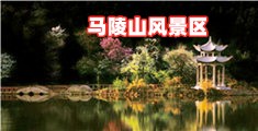 免费看日逼的视频
